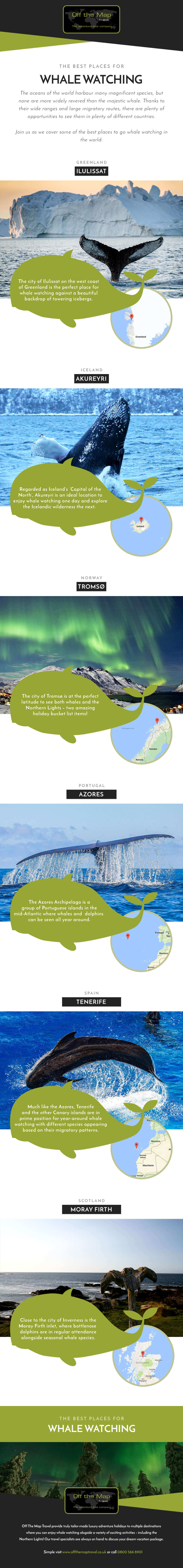 Best Places for Whale Watching [Infographic] | Off the Map Travel