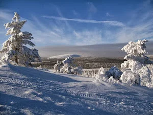 Lapland Trip