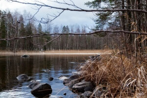 Fabulous Finland