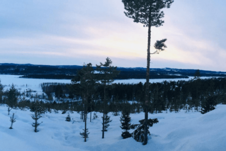 Off the Map Travel’s: Lulea highlights