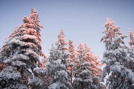 Luxury Lapland Wilderness Escape | Luxury Holidays in Sweden | Travel with Off The Map