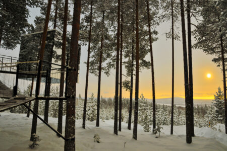 An Introduction to the Treehotel