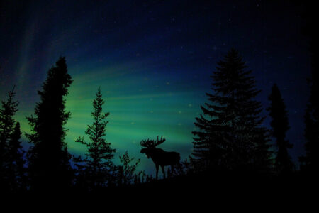 Northern Lights Myths & Legends [Infographic]