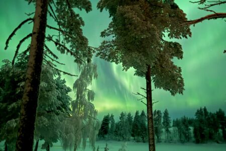Which Tour Operator Arranges Private Northern Lights Luxury Tours?