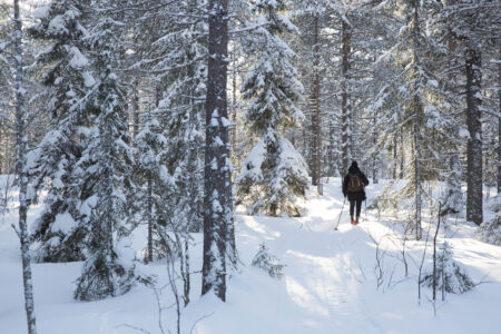 When is the best time to visit Lapland?