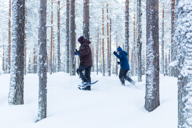 Loggers Lodge | Luxury Glass Cabin in Sweden | Luxury Spa Holiday in Sweden | Travel with Off The Map Travel