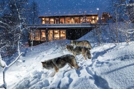 Wolf Lodge | Polar Park | Luxury Lodge in Norway | Travel with Off The Map