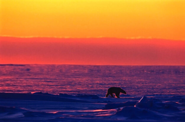 Svalbard is one of the last true wildernesses on Earth and sits at 78 degrees North, below the North Pole. Travel with Off The Map.