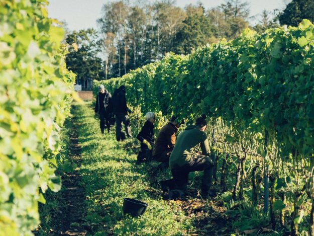 Ästad Vingård | Luxury Holidays in Sweden with Off the Map Travel
