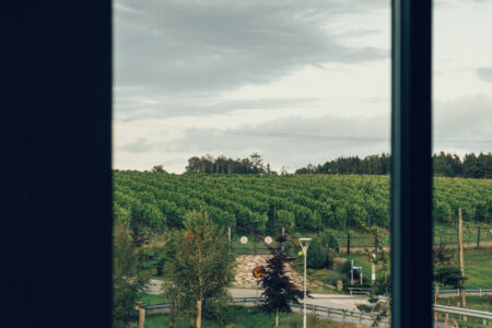 Ästad Vingård Falkenberg