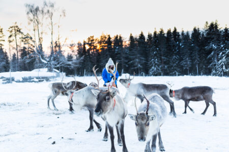 Luxury Lapland Holidays Crafted for Extraordinary Arctic Adventures