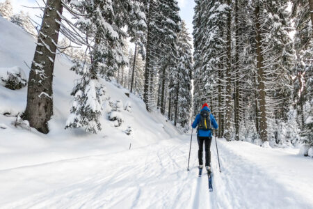 Nordic Capitals and Arctic Wilderness Luxury Journey