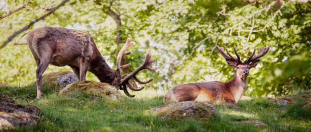 Eriksberg Hotel and Nature Reserve, Sweden