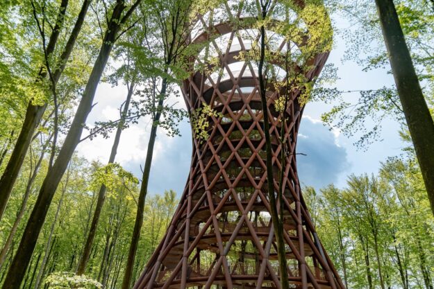 Forest Tower