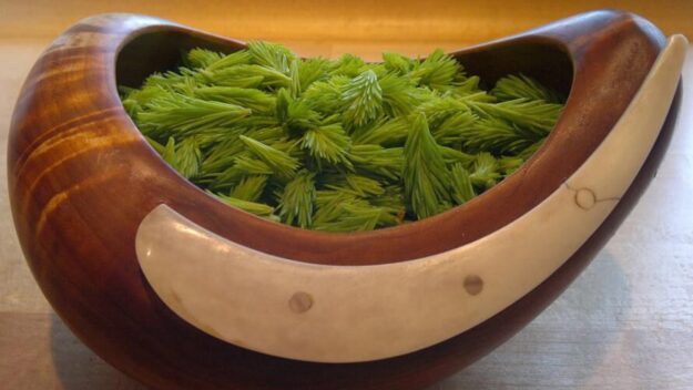Arctic Herbs Workshop