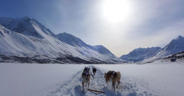 Lyngen Experience - Dog Sledding