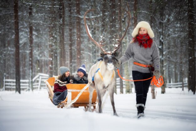 Reindeer Park Visit - Aino Private Island - Finland