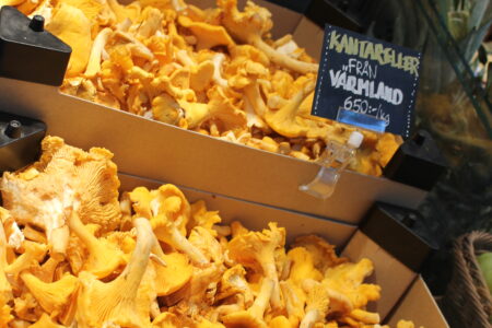 Villa Dagmar Market Chanterelles
