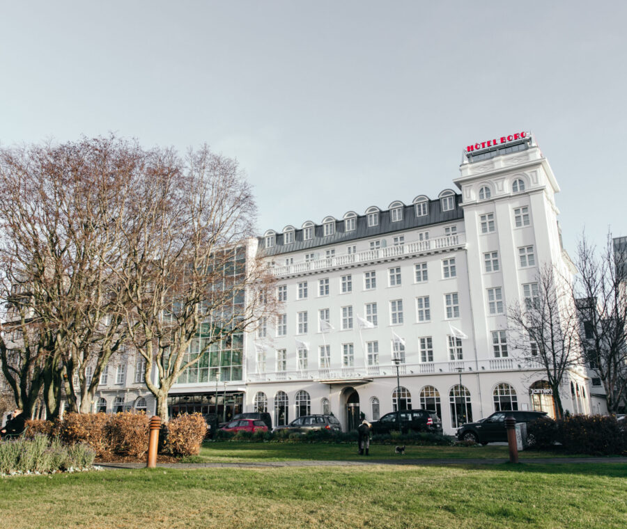 Hotel Borg