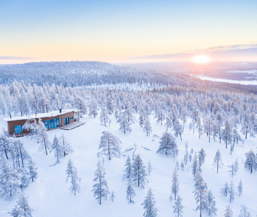 The Finnish Dream