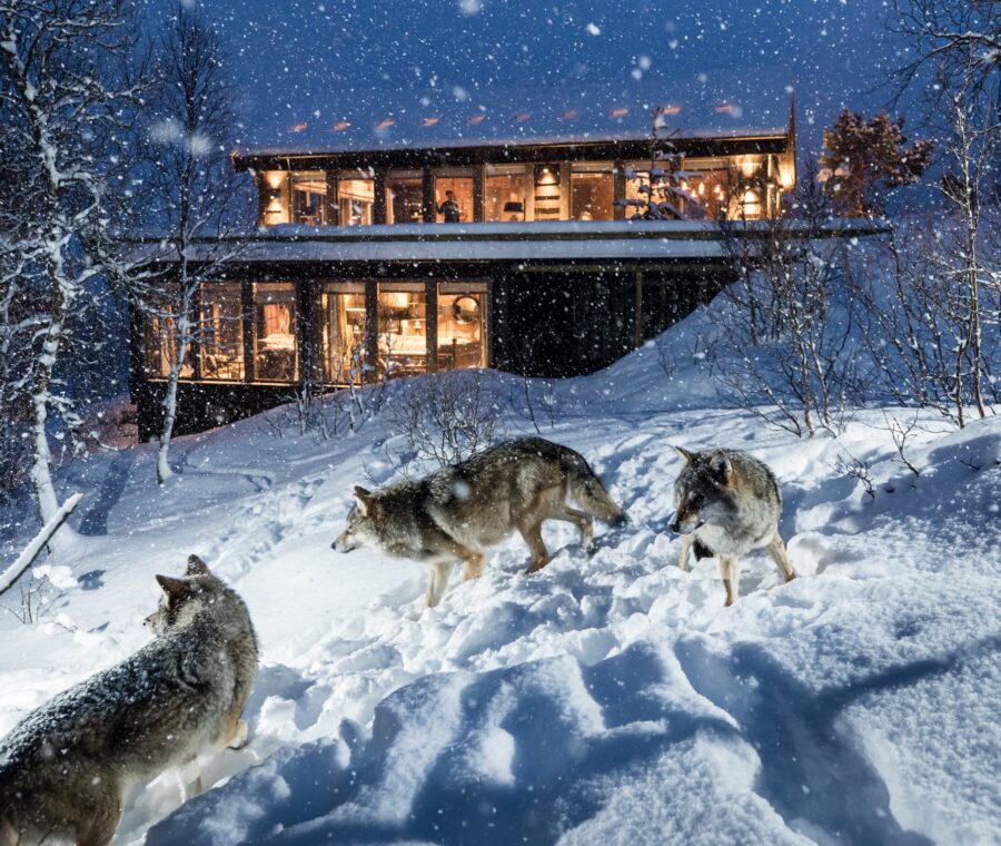 Wolf Lodge, Polar Park