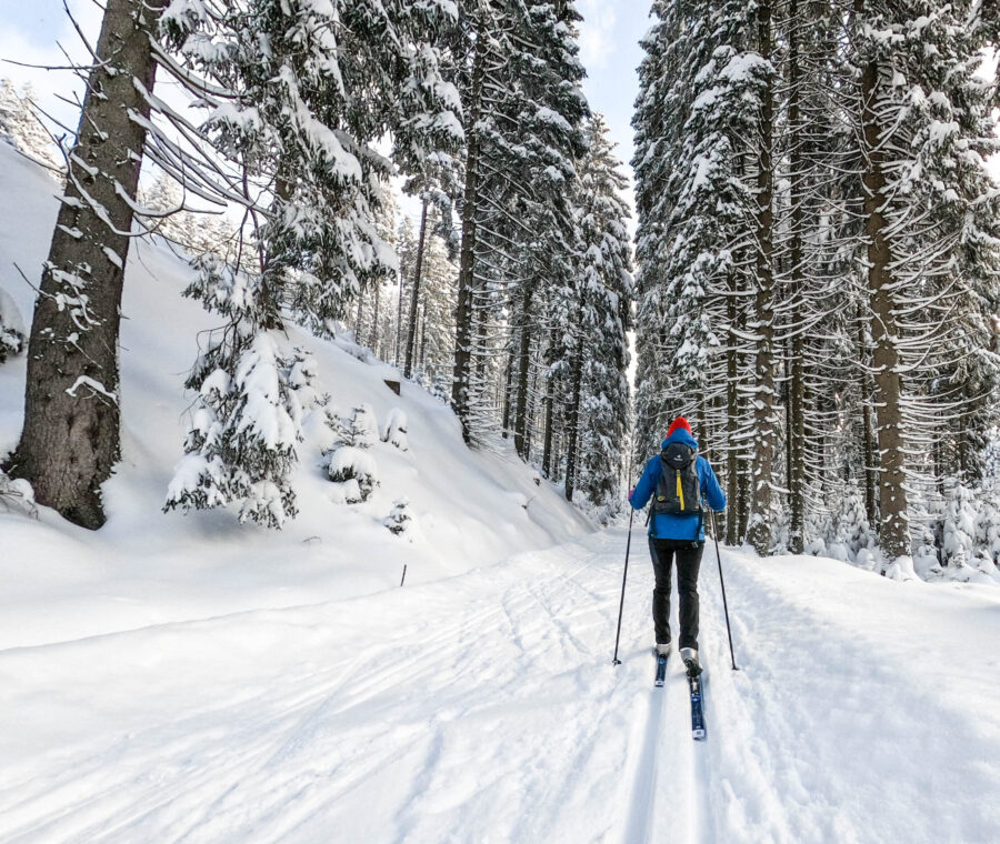 Nordic Capitals and Arctic Wilderness Luxury Journey