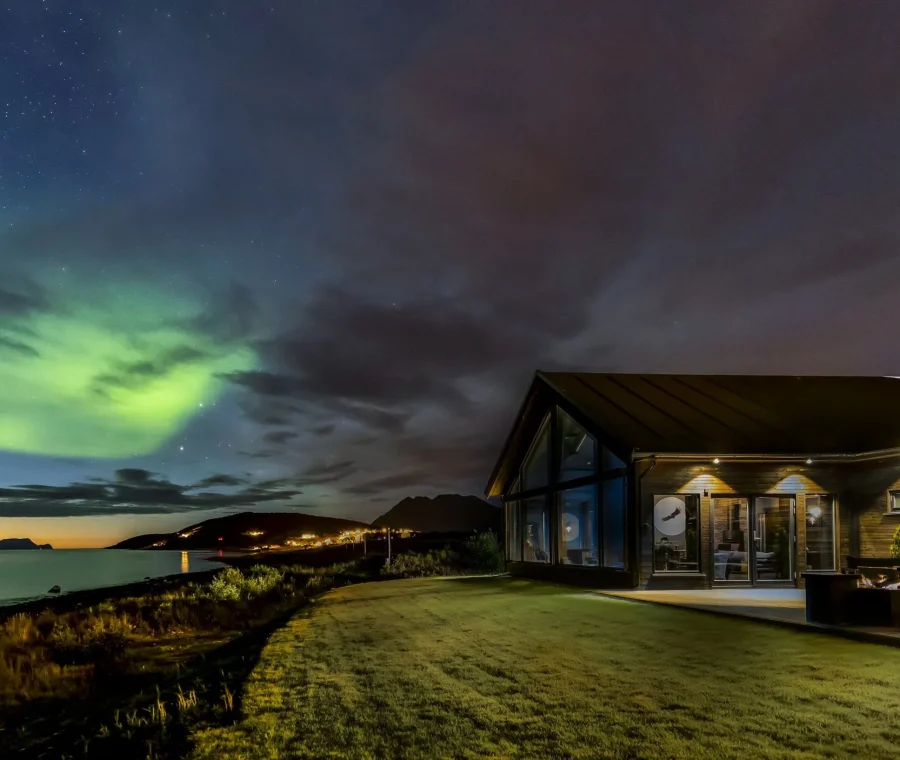 Lyngen Experience - Whale Watching